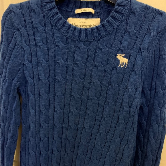 Abercrombie & Fitch Other - 🇺🇸Abercrombie and Fitch Men's Medium Sweater